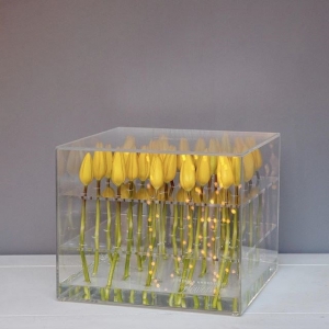 Toptan su geçirmez akrilik çiçek saklama kutusu gül ambalaj kutusu 