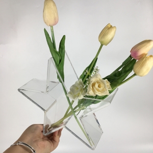 pentagramı şeffaf akrilik çiçek kutusu şeklinde 
