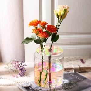 ev dekorasyonu özel akrilik çiçek vazosu
    <!--放弃</div>--> 