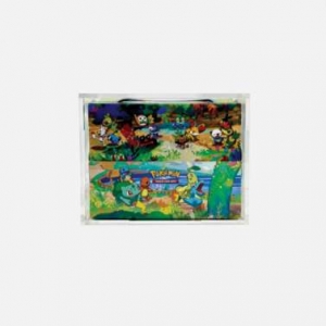 Toptan pokemon mini 8 teneke akrilik kasa 