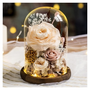 şeffaf plastik kubbe kapağı