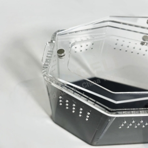 UV ışınlarına dayanıklı siyah arka yüzlü akrilik tabut örümcek muhafazası 