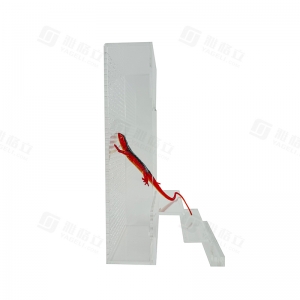 UV ışınlarına dayanıklı dikey akrilik tırmanma evcil hayvan kafesi 